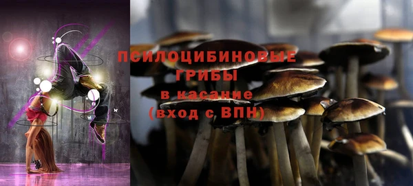 дурь Кукмор