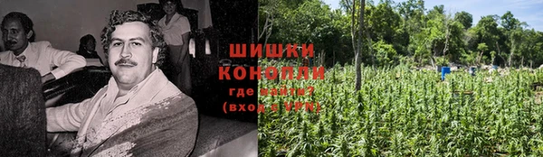крисы Красноперекопск