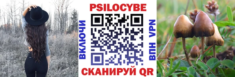 Купить  Городовиковск  Галлюциногенные грибы мицелий 